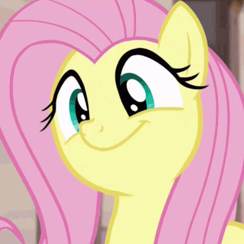 fluttershy