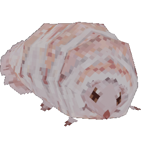 grub grub!!! grub!!! grub ^_^ grub... grub. grub!!! ^___^ omg !!! grub!!!